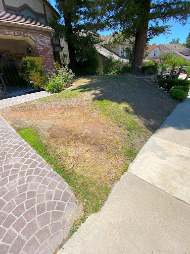 Artificial Grass Installation - Turfland
